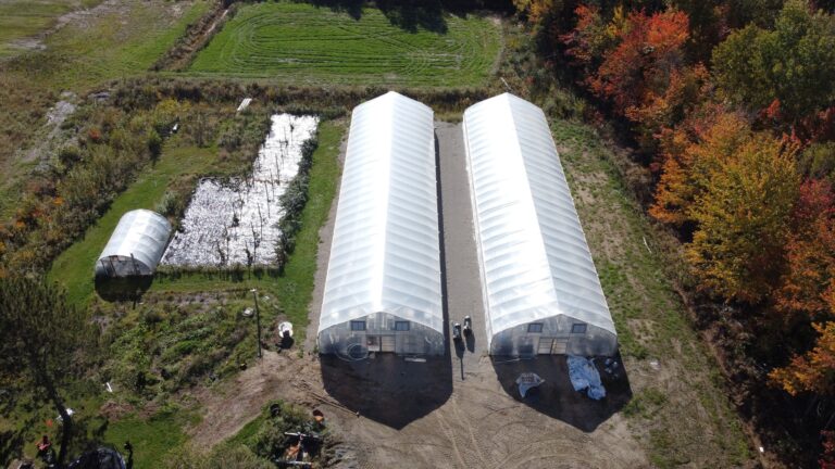 Une vue aérienne d'un terrain agricole avec deux grandes serres alignées côte à côte, couvertes d'une structure translucide en plastique. À gauche des serres principales, on aperçoit une plus petite serre en forme de tunnel. Les alentours présentent des champs verdoyants, des zones de culture protégées par des bâches réfléchissantes, et une végétation automnale avec des arbres aux feuilles dans des teintes de rouge, orange et jaune.