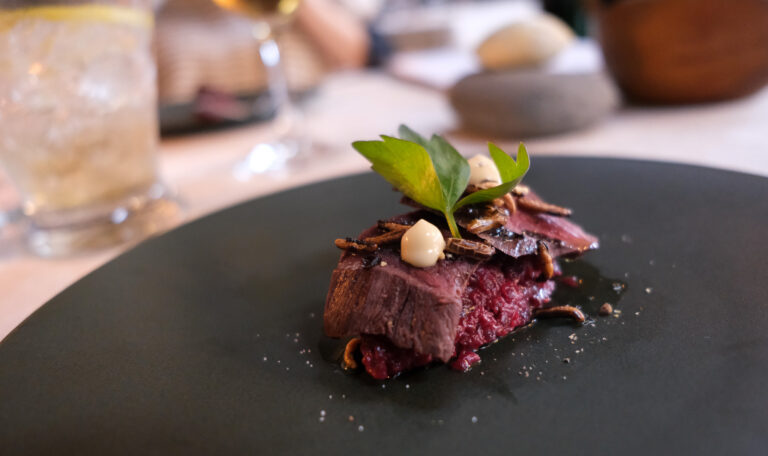 Sur une assiette noire au fini mat, un élégant tataki de loup-marin est dressé avec finesse. La chair rouge foncée du loup-marin, saisie à la perfection, repose sur un lit de betteraves râpées, d’un rouge vibrant qui évoque la terre et la fraîcheur. De fines garnitures — champignons croustillants, points de crème au miso et feuilles vertes délicates — ajoutent du relief, du contraste et de la fraîcheur au plat. Un filet d’huile ou de sauce légèrement brillante entoure la composition, ajoutant une touche d’élégance. À l’arrière-plan, les verres et la lumière tamisée suggèrent une ambiance feutrée, parfaite pour une dégustation soignée. Un plat qui incarne à la fois la finesse du geste culinaire et la richesse du terroir nordique.