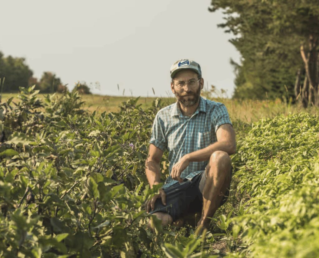 La photo présente un homme assis au milieu d’un champ verdoyant, baigné par une lumière chaude de fin d’après-midi. Il porte une chemise à carreaux verts et bleus, un short et une casquette claire. Sa barbe fournie et ses lunettes lui donnent une allure sérieuse mais posée. Il est entouré de rangées de plantes luxuriantes — probablement des légumes ou des herbes aromatiques — qu’il semble surveiller ou entretenir avec attention. À l’arrière-plan, on distingue une ligne d’arbres et un horizon dégagé, qui accentuent le caractère paisible et agricole de la scène. L’ensemble dégage une impression de proximité avec la terre, de travail manuel et de respect du rythme naturel des cultures.