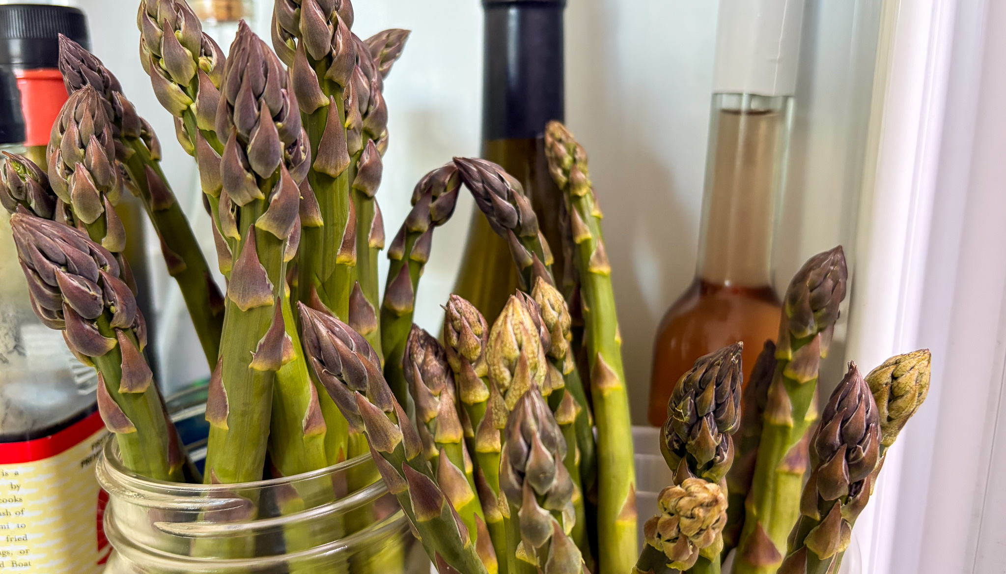 Asperge_conservation