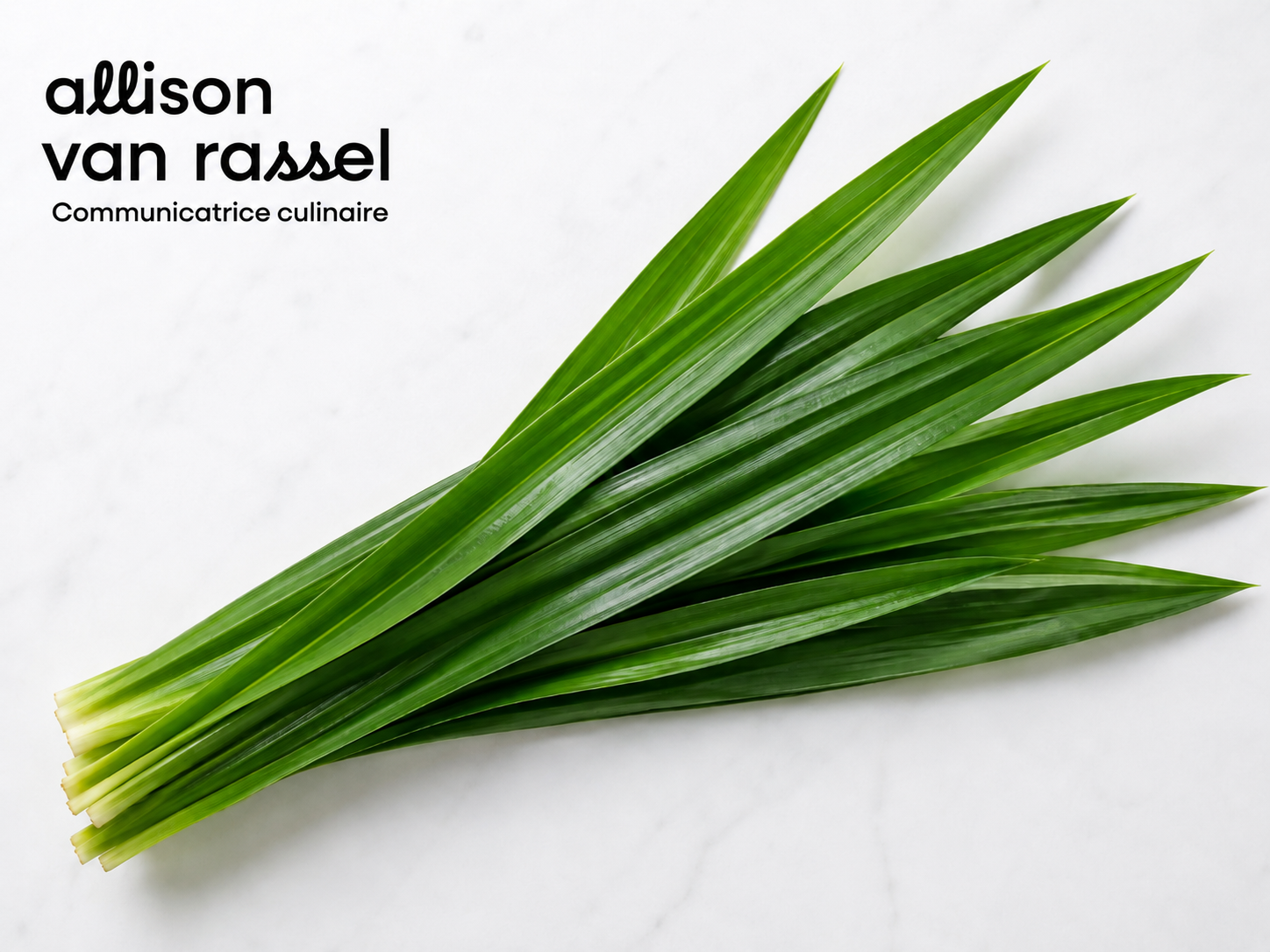 PANDAN_ALLISON_VANRASSEL